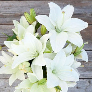 Meet your Posher, Eugenia